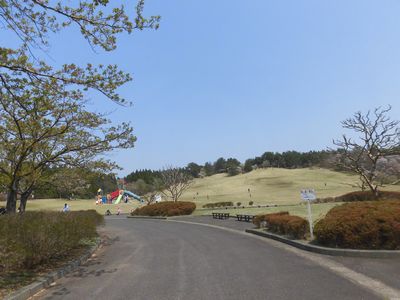 e0239190_17364283.jpg