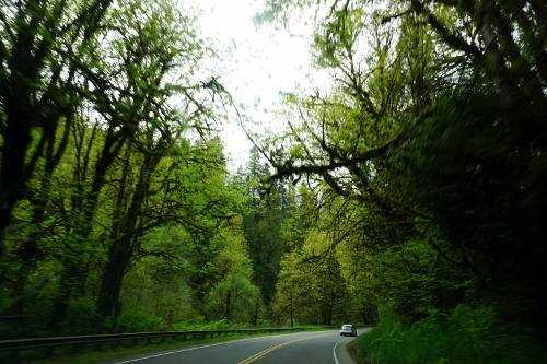 週末の田舎道ドライブ English Hill