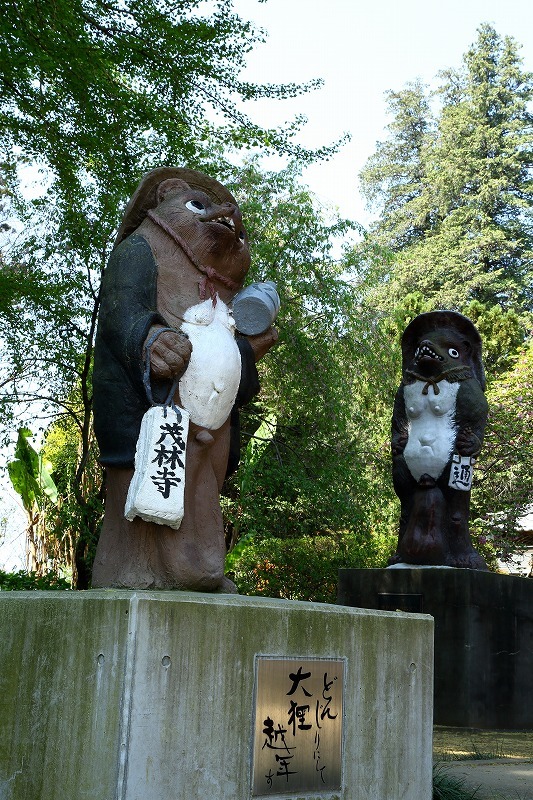 群馬県・館林にある茂林寺で、寺に伝わる宝物「分福茶釜」を拝観しました。_b0291402_08200221.jpg