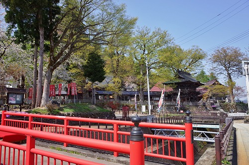 大欅の芽吹きが始まりました_c0336902_16245212.jpg