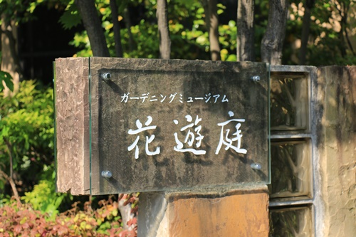 a0123003_20494463.jpg