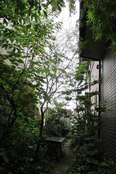 f0159403_09410925.jpg