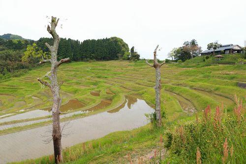 c0297004_230848.jpg