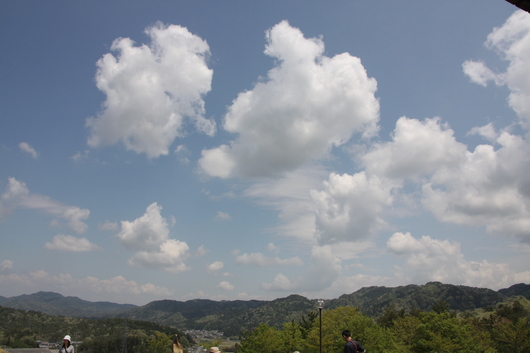 c0348609_7545020.jpg