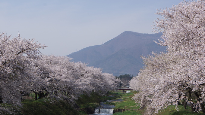 安曇野桜風景２０１５_f0233414_2118414.jpg