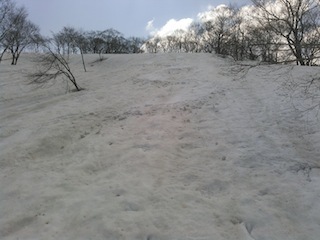 c0359615_17103390.jpg