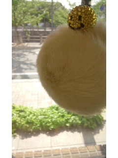 カナリア＊イエロー_f0126121_19373743.jpg