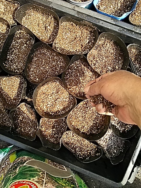 f0227321_23206.jpg