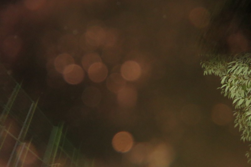 c0331825_09283244.jpg