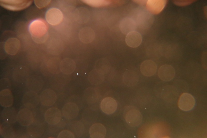 c0331825_09375698.jpg