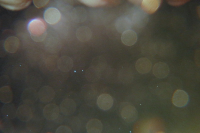 c0331825_09380669.jpg