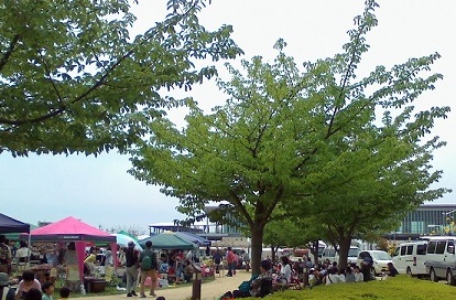 シミフエス_f0129627_951343.jpg