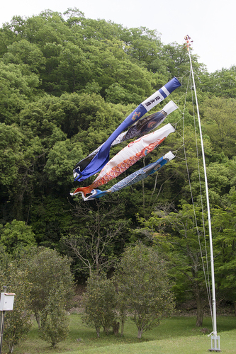 f0228030_12425767.jpg