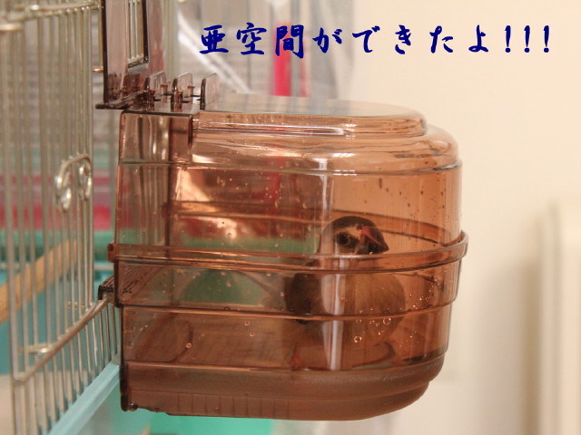 c0365734_228071.jpg