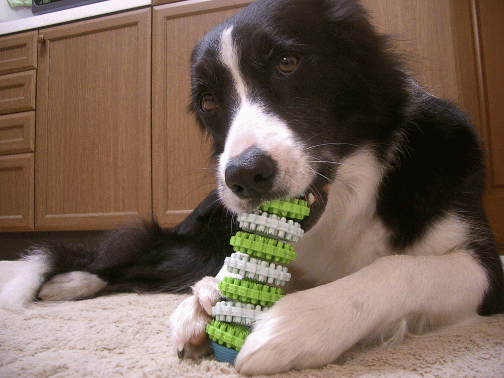 e0128144_51715.gif