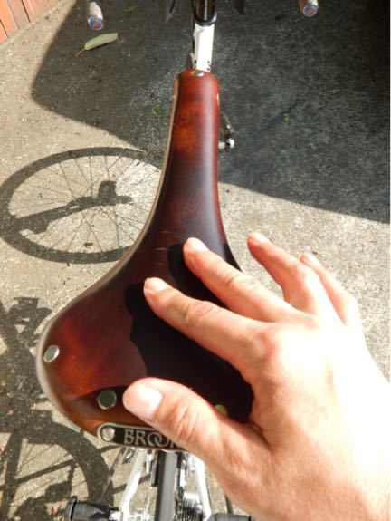 フェルーカ半力洗車…のち…保険屋さん走(笑)_b0136045_15382210.jpg