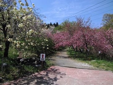 e0011145_13592267.jpg