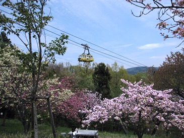 e0011145_1441942.jpg
