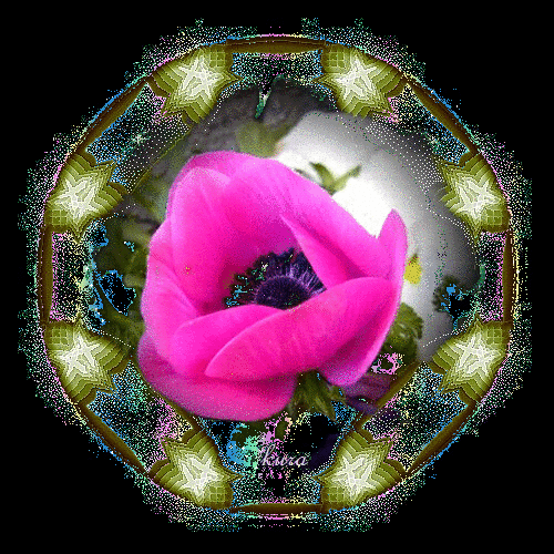 b0133752_10205189.gif