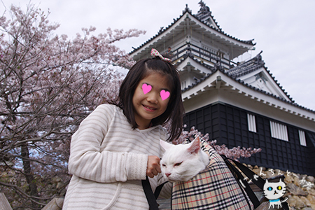 お城公園のお散歩　～お花見にゃんこ～_e0031853_125072.jpg