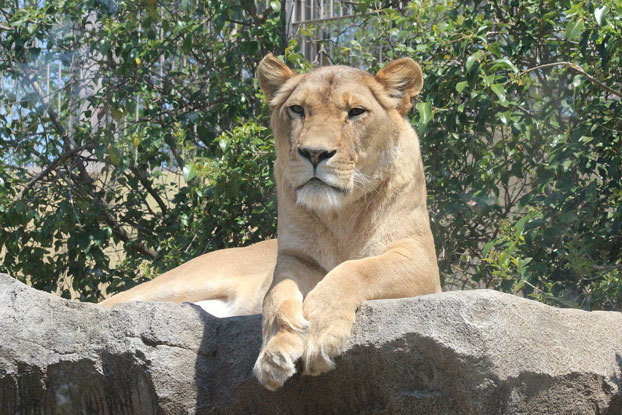 東武動物公園へ行ってきました♪_e0294253_12324851.jpg