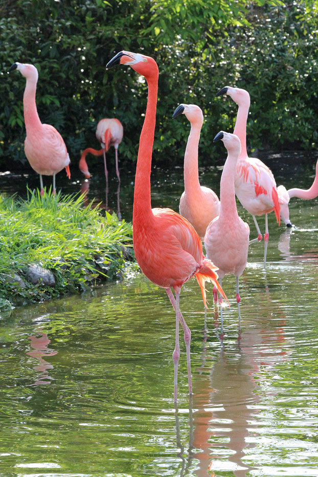 東武動物公園へ行ってきました♪_e0294253_12360651.jpg