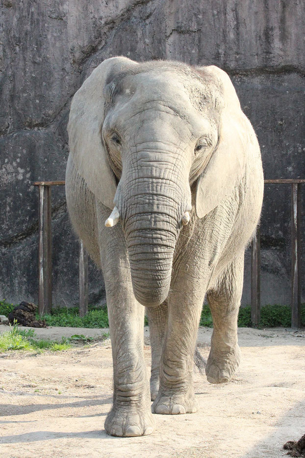 東武動物公園へ行ってきました♪_e0294253_12370445.jpg