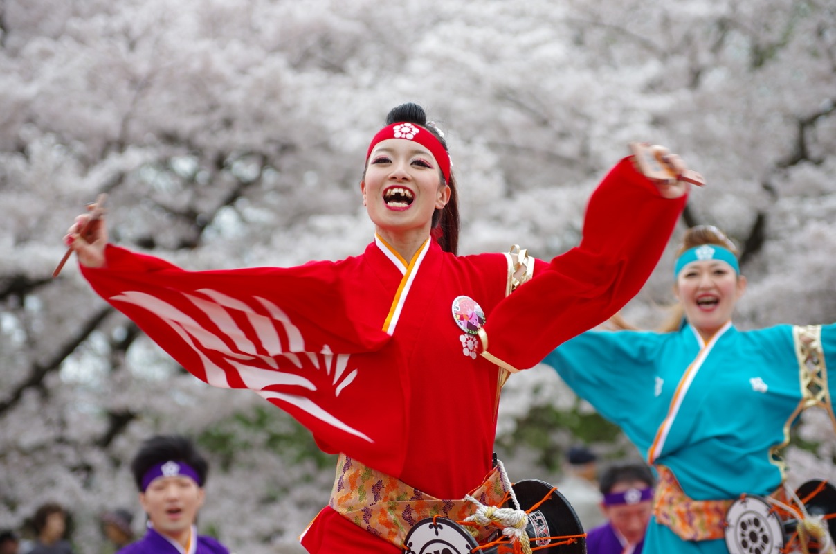 京都さくらよさこい２０１５一日目その４７（金澤こまち）_a0009554_22254220.jpg