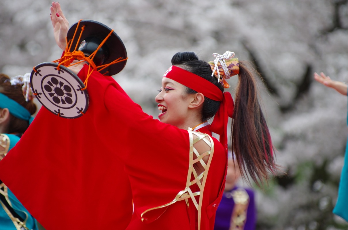 京都さくらよさこい２０１５一日目その４７（金澤こまち）_a0009554_22273728.jpg