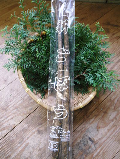 有機栽培の水田ごぼう まもなく収穫&出荷!直前の様子を現地取材!!_a0254656_16393591.jpg