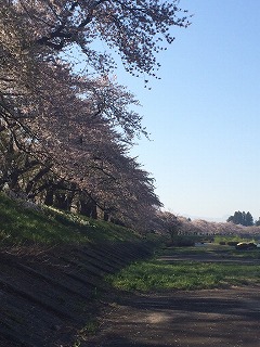 新築工事中　～F.W工法～　3世代が住まう家_c0120360_17122774.jpg