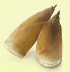 旬_b0328361_22025490.jpg