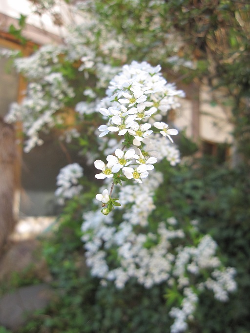 長野旅行その4 最終章_b0019674_2130263.jpg