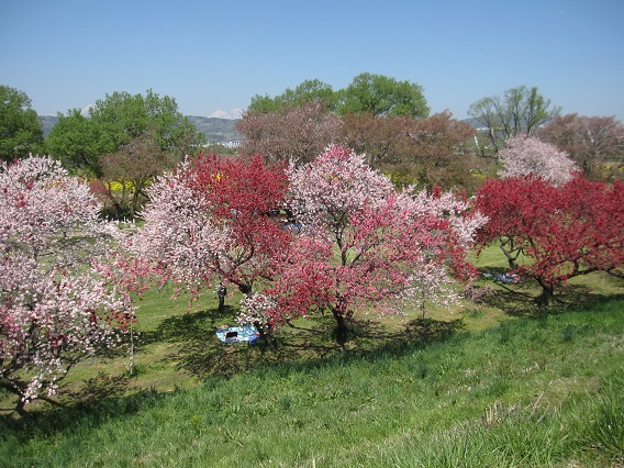 長野旅行その4 最終章_b0019674_21322737.jpg