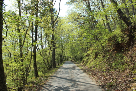 b0223592_1652662.jpg