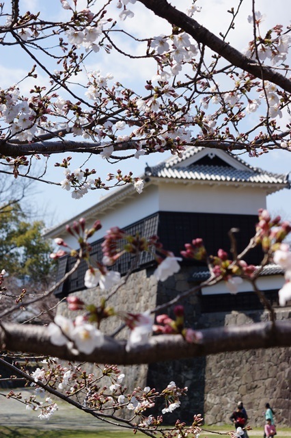 希望に満ちた日本：何故日本は豊かになったのか、平和でいられるのか・・・・素晴らしい国日本、豊かな日本_d0181492_21413883.jpg