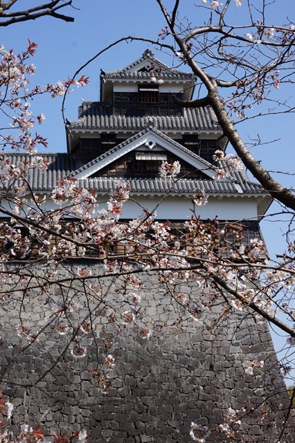 希望に満ちた日本：何故日本は豊かになったのか、平和でいられるのか・・・・素晴らしい国日本、豊かな日本_d0181492_2142027.jpg