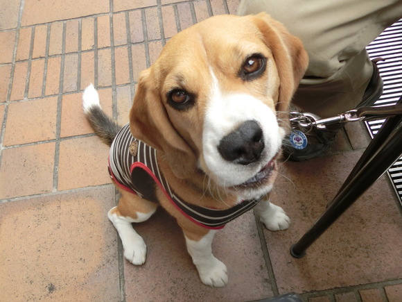 a0319693_945099.jpg