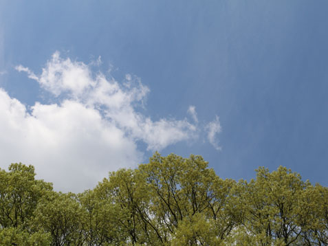 月末ですね(*^▽^*)_c0140599_14275469.jpg