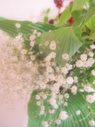 スズランの日（Jour de muguet）_c0220700_12531161.jpg