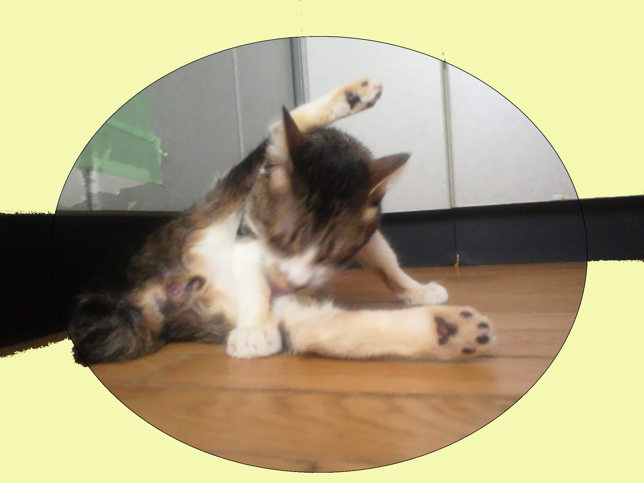 はじめまして!(明)_f0242002_23215326.jpg