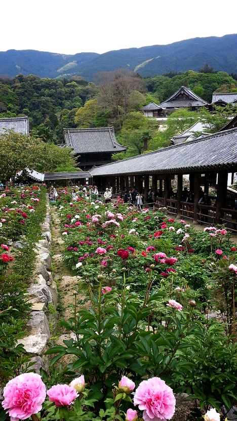 c0210803_1553460.jpg
