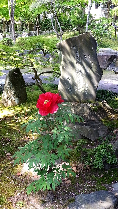c0210803_15545045.jpg