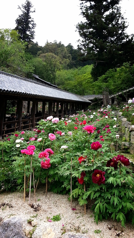 c0210803_1554899.jpg