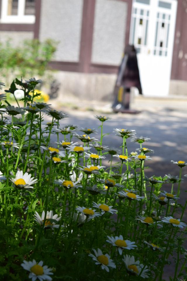 福岡県北九州市の旧門司三井倶楽部(大正モダン建築探訪)_f0142606_6542387.jpg