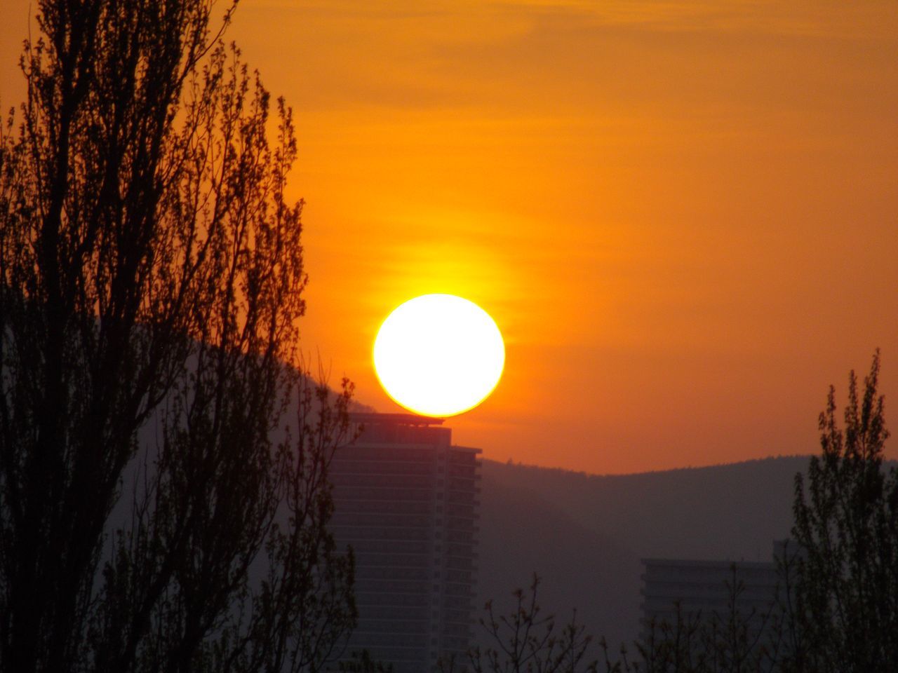 札幌らしい春の一日か_c0025115_20260658.jpg