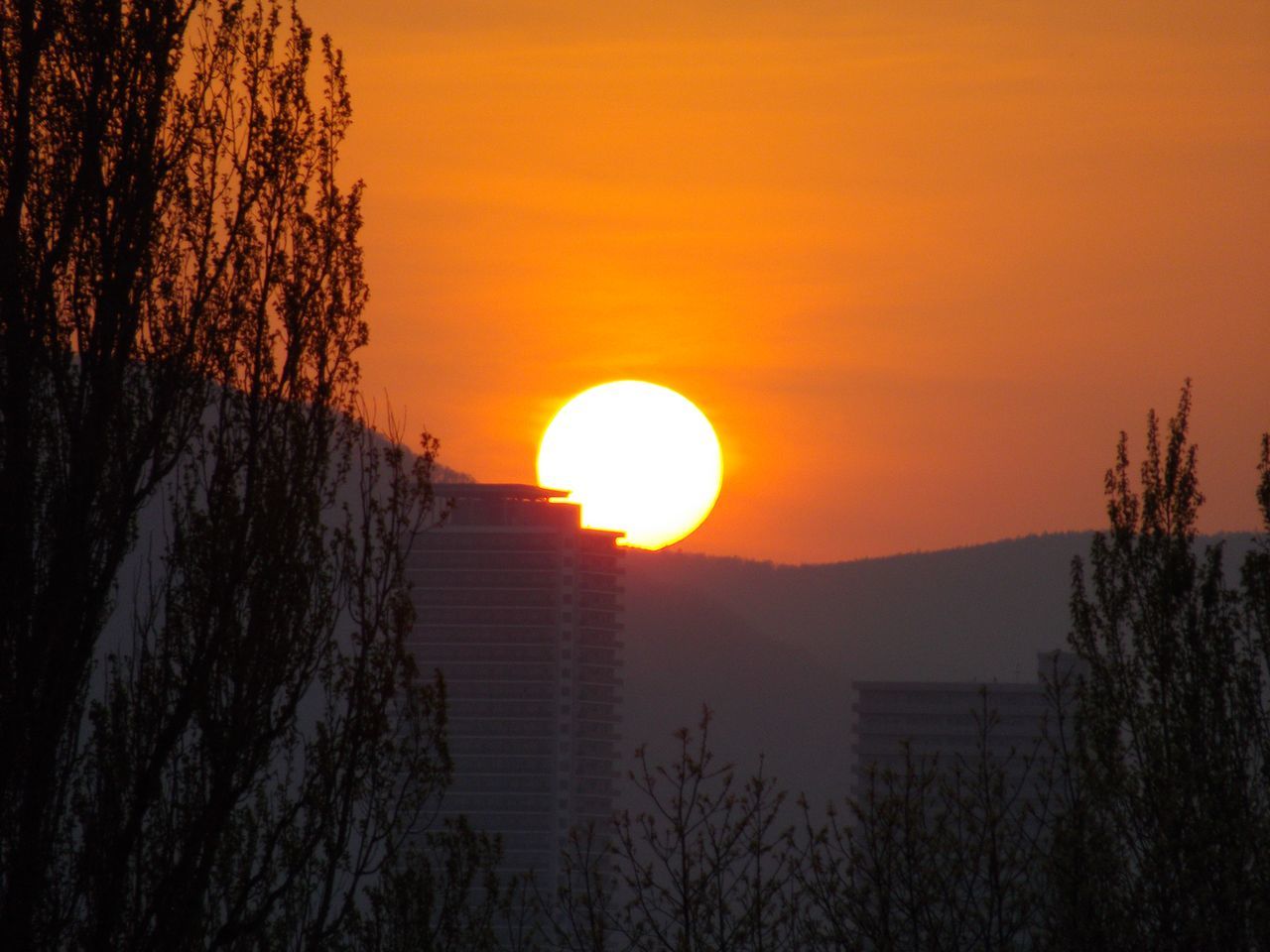 札幌らしい春の一日か_c0025115_20262446.jpg