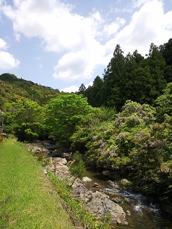 e0149215_195865.jpg