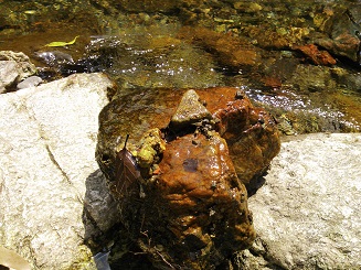 e0149215_20102233.jpg