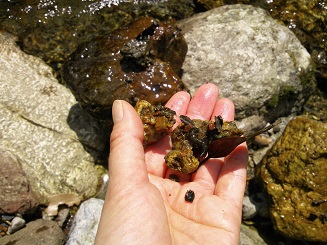 e0149215_20132739.jpg